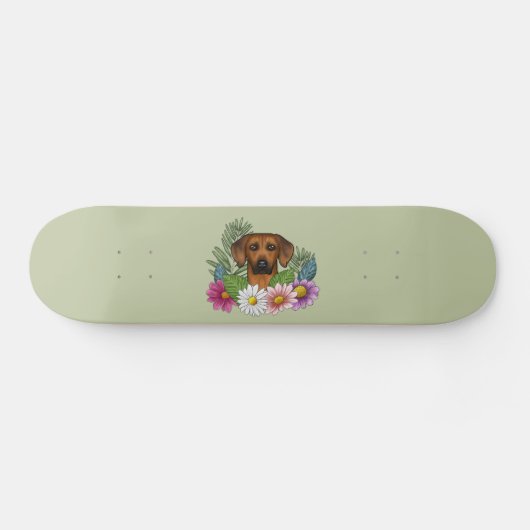 Rhodesian Ridgeback Hoofd Kleurrijke Bloemen Op Gr Skateboard (Horizontaal)