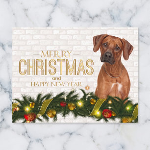 Rhodesian Ridgeback Kerstkaart Feestdagenkaart