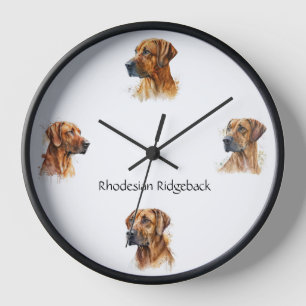 Rhodesian Ridgeback klok