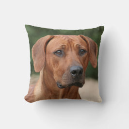 Rhodesian Ridgeback kussen