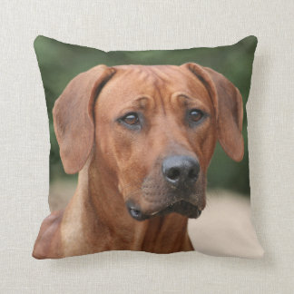Rhodesian Ridgeback kussen