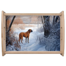 Rhodesian Ridgeback laat het sneeuwen Kerstmis