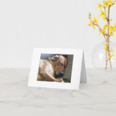 Rhodesian Ridgeback Labrador Dog Mix Kaart (Gele Bloem)