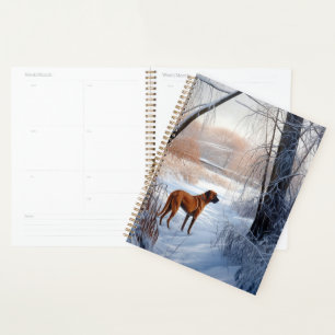 Rhodesian Ridgeback Laisser Neige Noël