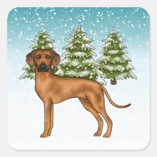 Rhodesian Ridgeback Leeuw Hond Sneeuwige Winter Bo Vierkante Sticker
