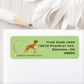 Rhodesian Ridgeback, Maan en Sterren Etiket (Insitu)