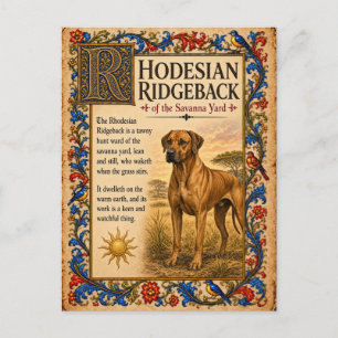 Rhodesian Ridgeback, Middeleeuwse Bestiarium Kunst Briefkaart