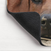 Rhodesian Ridgeback Muismat (Hoek)