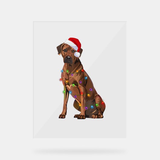 Rhodesian Ridgeback Noël Lumières Noël Chien de No (Recto)