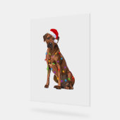 Rhodesian Ridgeback Noël Lumières Noël Chien de No (Angle)