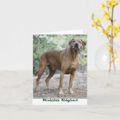 Rhodesian Ridgeback Notecards Kaart (Gele Bloem)