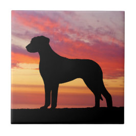Rhodesian Ridgeback Persimmon Sunset Silhouette Tegeltje