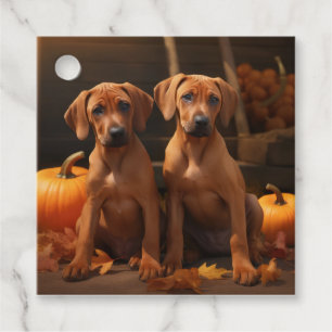 Rhodesian Ridgeback Pup Autumn Delight Pompoen Bedankjes Labels