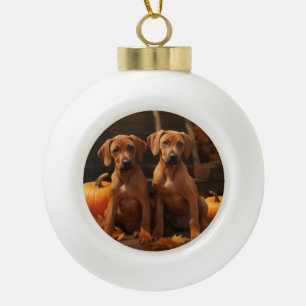 Rhodesian Ridgeback Pup Autumn Delight Pompoen Keramische Bal Ornament