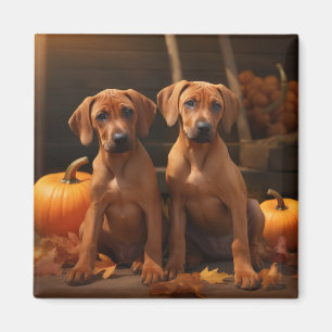 Rhodesian Ridgeback Pup Autumn Delight Pompoen  Magneet