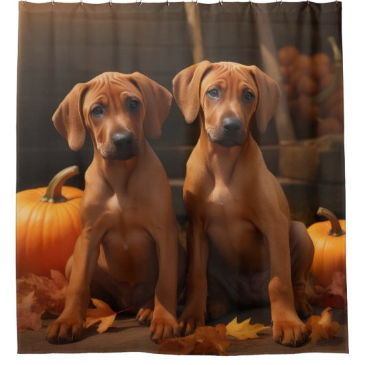 Rhodesian Ridgeback Puppy Herfst Delight Pompoen Douchegordijn (Voorkant)