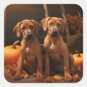 Rhodesian Ridgeback Puppy Herfst Delight Pompoen Vierkante Sticker (Voorkant)