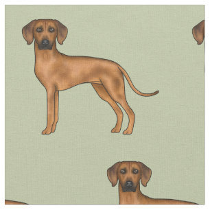 Rhodesian Ridgeback Schattige African Lion Dog Gre Stof