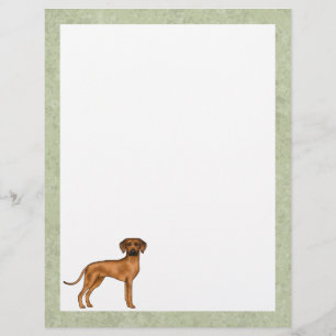Rhodesian Ridgeback Schattige Afrikaanse Leeuw Hon Briefhoofd