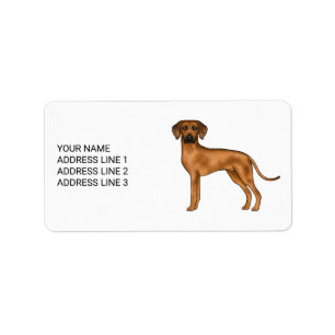 Rhodesian Ridgeback Schattige Afrikaanse Leeuw Hon Etiket