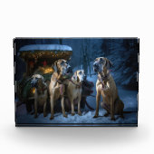 Rhodesian Ridgeback Snowy Sleigh Kerstdecoratie Fotoblokken (Voorkant)