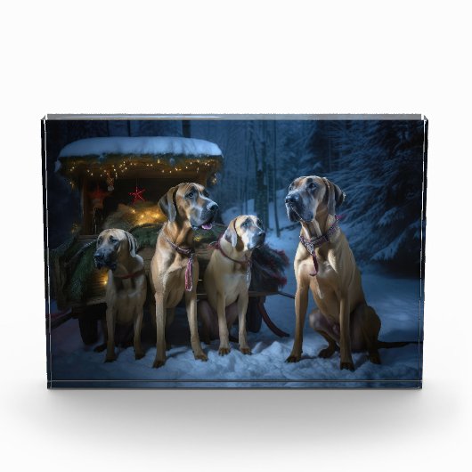 Rhodesian Ridgeback Snowy Sleigh Kerstdecoratie Fotoblokken (Voorkant)