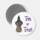 Rhodesian Ridgeback Trick Magneet (Voorkant / Achterkant)