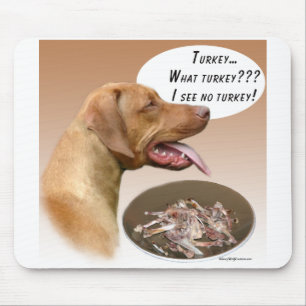 Rhodesian Ridgeback Turkije Muismat