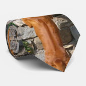 rhodesiesridgeback status.png stropdas (Opgerold)