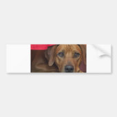 rhodezisch-ridgeback bumpersticker (Voorkant)