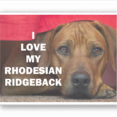 rhodezisch-ridgeback liefde met pic sticker (Voorkant)