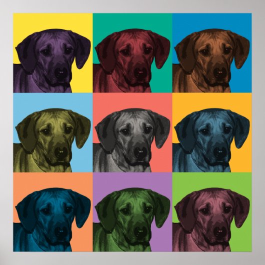 Rhodezisch Ridgeback Pop-Art Poster (Voorkant)