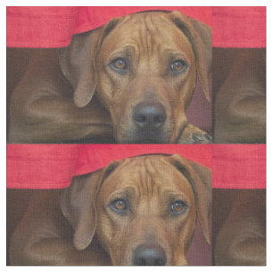 rhodezisch-ridgeback stof