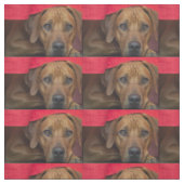 rhodezisch-ridgeback stof (Swatch)