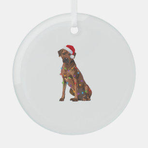 Rhodezische kerstverlichting met racistische racis glas ornament