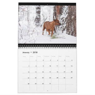 Rhodezische Ridgeback Calendar 2018 Kalender