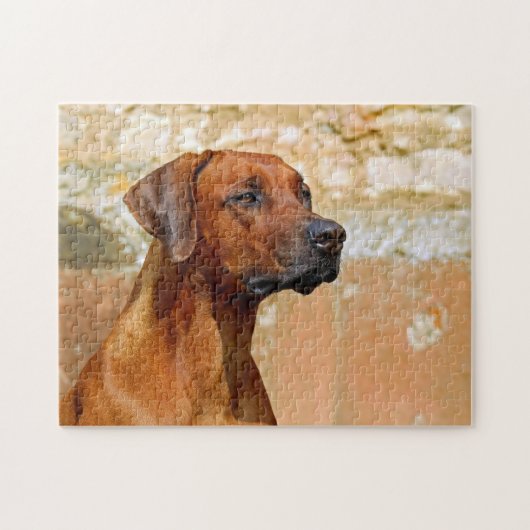 Rhodezische Ridgeback Dog Gazing Eyes Legpuzzel (Horizontaal)