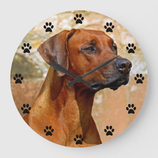 Rhodezische Ridgeback Dog Paw Afdruktijd Grote Klok (Voorkant)