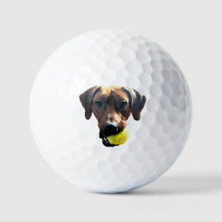 Rhodezische Ridgeback Golf Balls Golfballen