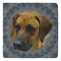 Rhodezische Ridgeback klassieke Stone Trivet