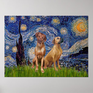 Rhodezische Ridgeback Pair - Sterrennacht Poster