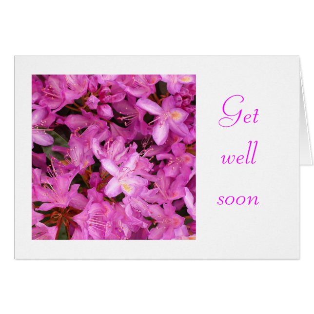 rhododendron (Devant horizontal)