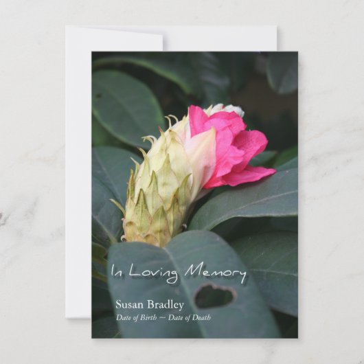 Rhododendron 2 Célébration de la vie Invitation (Devant)