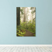 Rhododendron blooming among the Coast Redwoods / Canvas Afdruk (Insitu (Houten vloer))