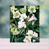 Rhododendron de l'Inde du Nord (Neutre)