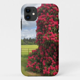 Rhododendron en Schilderachtig Uitzicht in Schotla iPhone 11 Hoesje