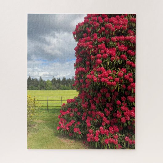 Rhododendron en Schilderachtig Uitzicht in Schotla Legpuzzel (Verticaal)