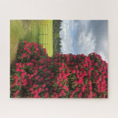 Rhododendron en Schilderachtig Uitzicht in Schotla Legpuzzel (Horizontaal)