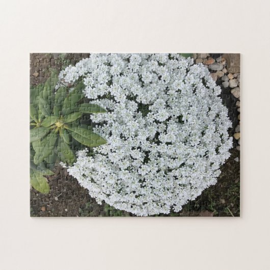 Rhododendron Feuille Candy Tufts Fleurs Puzzles (Horizontal)