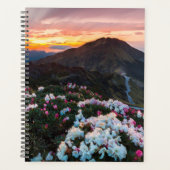 Rhododendron florissant | Parc national de Taroko (Devant)